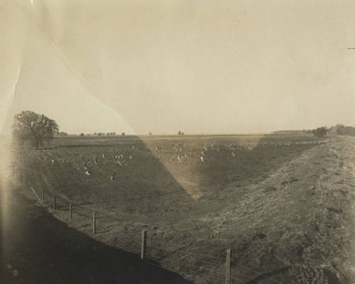 Sacramento Valley Sugar Company - Laborers