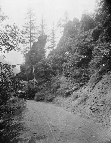 Wagon Road Scene, Tehama County