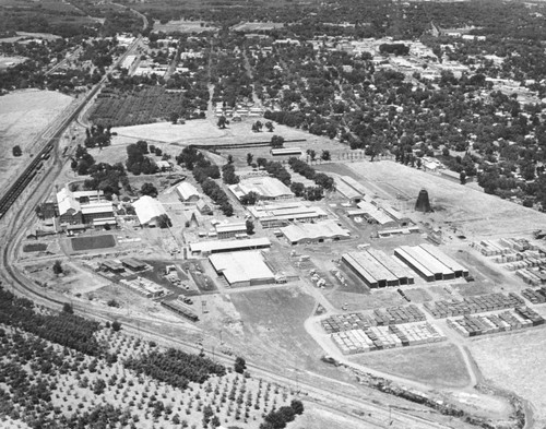 Aerial View of Diamond Match Company