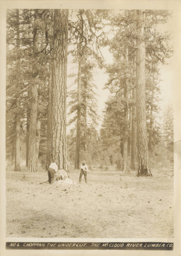 McCloud River Lumber Company