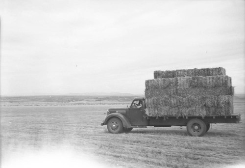 Hay truck loaded leaving the field