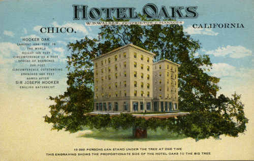 Hotel Oaks