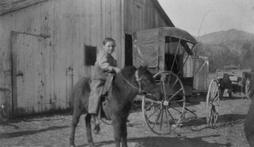 Boy on Pony