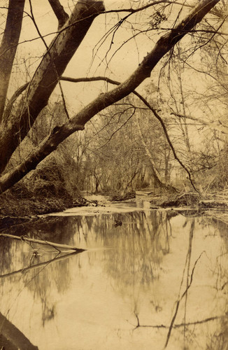 Big Chico Creek in winter