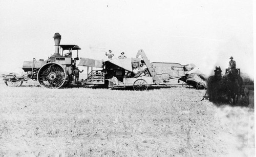 Harvesting in Colusa County