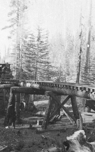 Log Trestle Work Used on the Narrow-Gauge Railroad