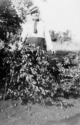 Man standing behind a branch of prunes on the Bidwell Orchards