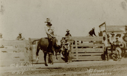 Perry Ivory, California Rodeo