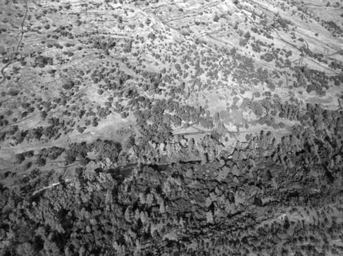 Aerial View of Bidwell Park