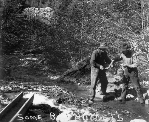 Miners in Sawyers Bar area