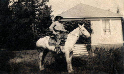 Park Ranger Ray