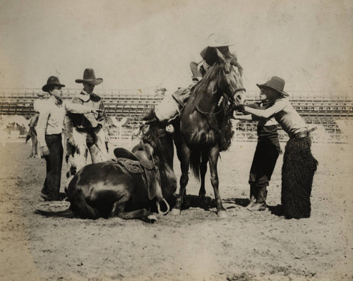 California Rodeo