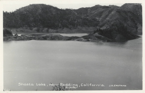 Shasta Lake