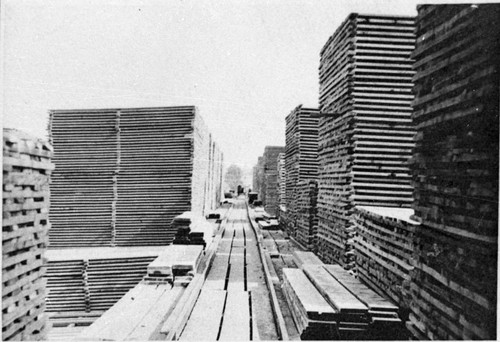 Sierra Lumber Co. Lumberyard