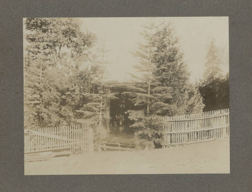 Dance pavilion at Butte Meadows