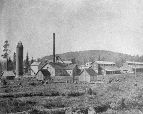 Lumber Mill