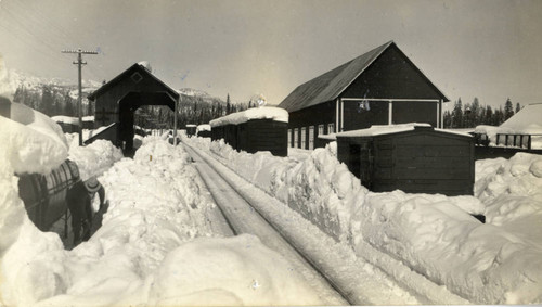 McCloud River Railroad CO. Tracks