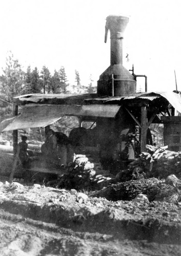 Donkey engine with shed roof