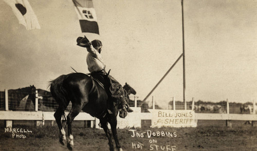 John Dobbins, Boise Stampede