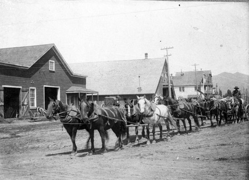 Horse Carriages in Loyalton