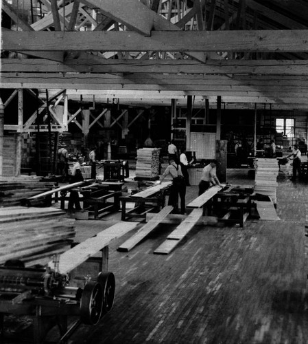 Diamond Match Company : preparation of lumber