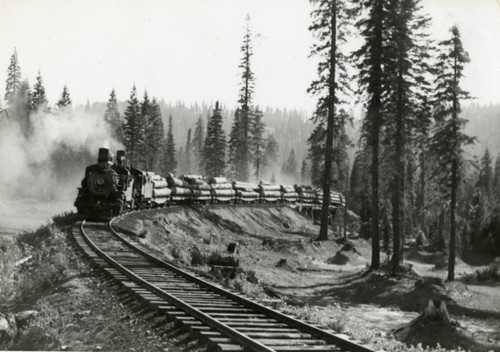 Steam Locomotive