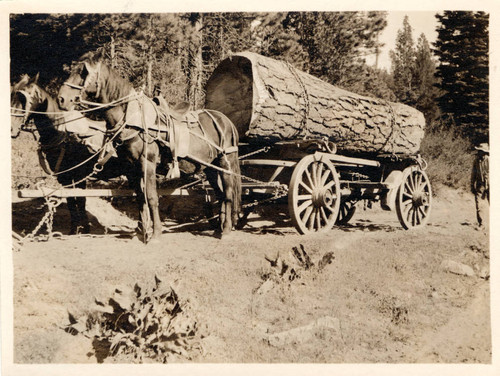 Log wagon