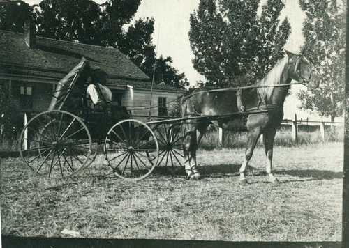 Ed and Mildred White