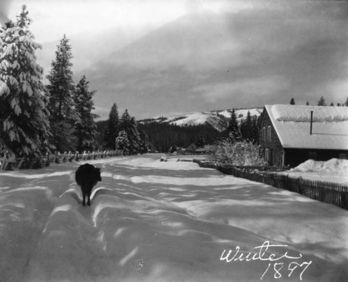 Winter at Meadow Valley