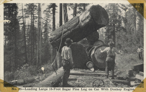 McCloud River Lumber Company