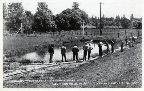 Rainbow Trout Lake