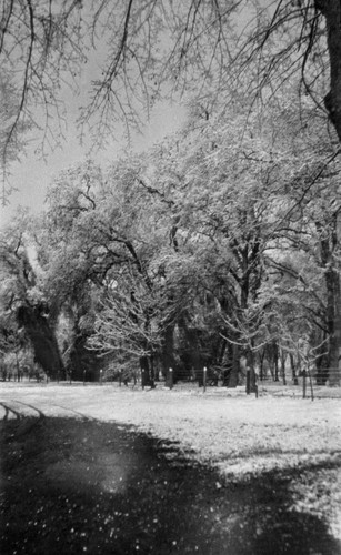 Pentz Ranch