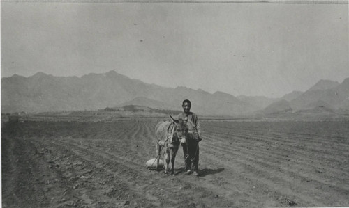 Chinese Farm Worker