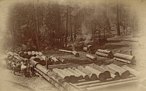 Sierra Lumber Company