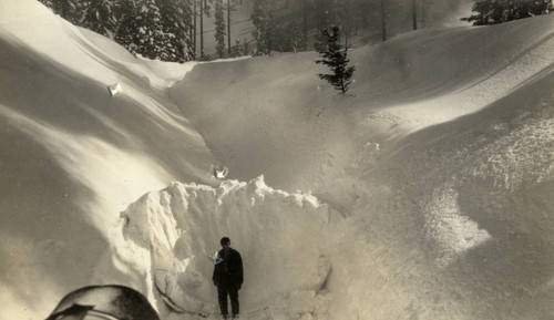 Snow Covered Tracks