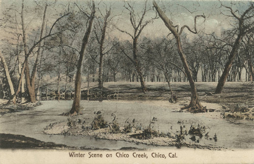 Winter scene on Chico Creek