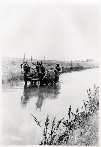 Cleaning canals