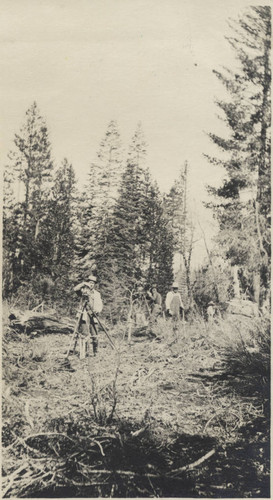 Logging Crew