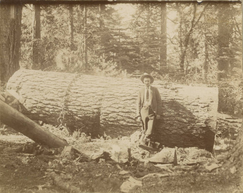 Henry Woodman standing by log