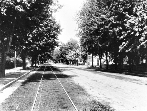 1st Street, Chico, Calif