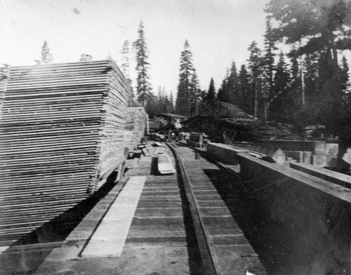 Lumber Drying Yard