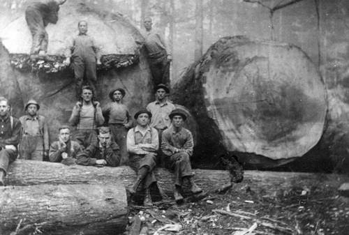 Group of Loggers