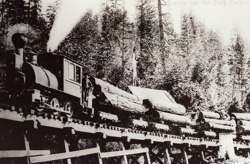 Logging Train on Trestle