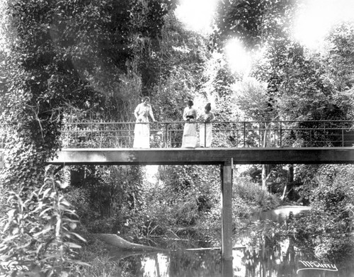 Ladies on a Footbridge