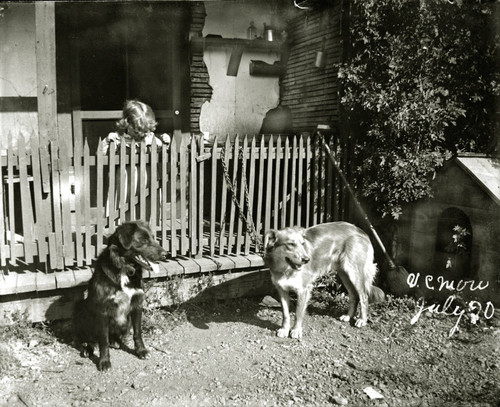 Two dogs at Spanish Ranch