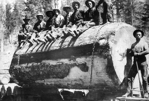 Loggers sitting on a large log