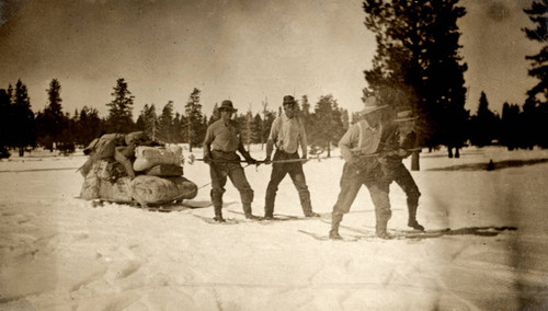 Park rangers at work