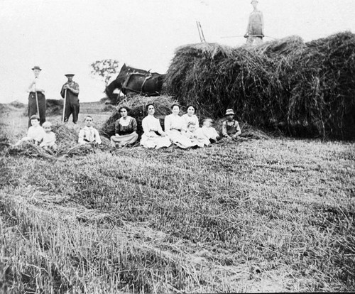 Harvesting at Walter's Farm