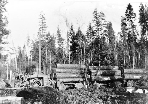 Steam Tractor