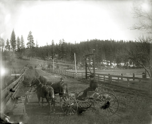 Horse and buggy at Spanish Ranch